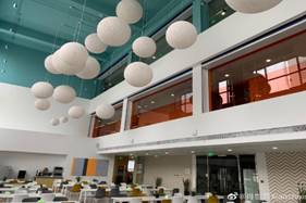 80e37e78f055f4f74c5cc88fa24b388